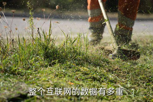 電腦數(shù)據(jù)有重量嗎,數(shù)據(jù)有重量嗎?電腦的重量會增加嗎?