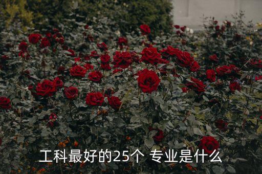 工科最好的25個(gè) 專業(yè)是什么