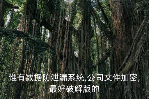 誰(shuí)有數(shù)據(jù)防泄漏系統(tǒng),公司文件加密,最好破解版的