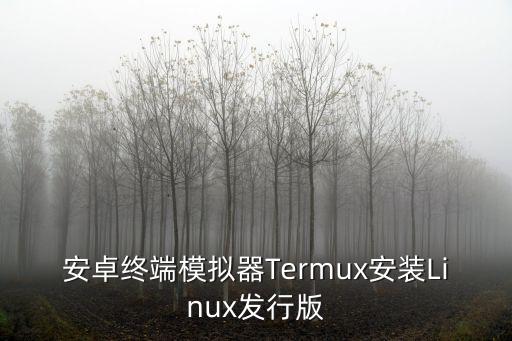 安卓終端模擬器Termux安裝Linux發(fā)行版