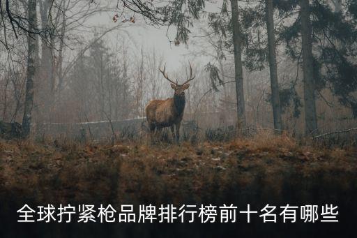 自動(dòng)化設(shè)備驅(qū)動(dòng)器牌排行榜,國(guó)產(chǎn)伺服驅(qū)動(dòng)器哪個(gè)牌子質(zhì)量好?