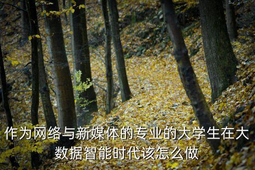 作為網(wǎng)絡與新媒體的專業(yè)的大學生在大數(shù)據(jù)智能時代該怎么做