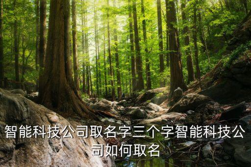 智能科技公司取名字三個字智能科技公司如何取名