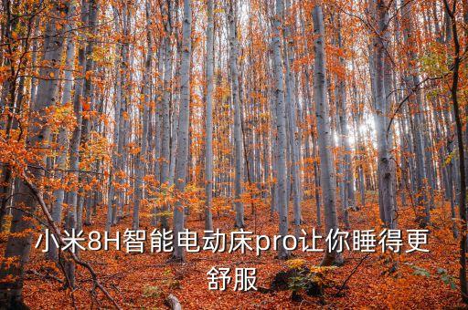 小米8H智能電動床pro讓你睡得更舒服