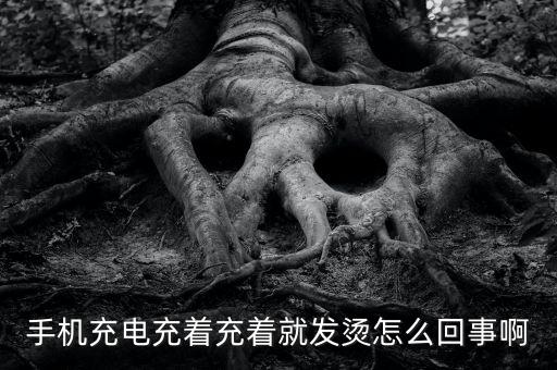 數(shù)據(jù)線充電時(shí)發(fā)燙,手機(jī)數(shù)據(jù)線充電插口常發(fā)燙是什么原因?