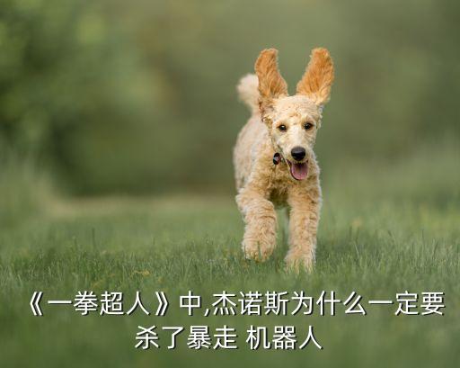 《一拳超人》中,杰諾斯為什么一定要殺了暴走 機(jī)器人