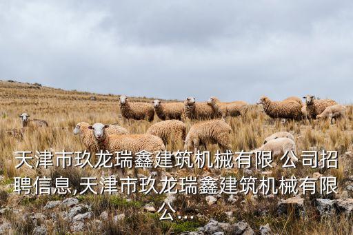 天津市玖龍瑞鑫建筑機械有限 公司招聘信息,天津市玖龍瑞鑫建筑機械有限公...