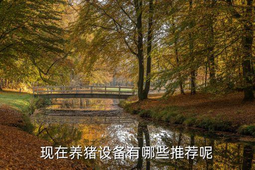 現(xiàn)在養(yǎng)豬設(shè)備有哪些推薦呢