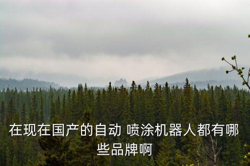 門板自動化噴涂設(shè)備有哪些