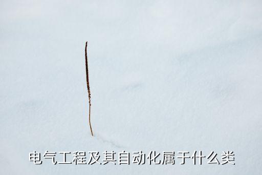 電氣工程及其自動(dòng)化屬于什么類
