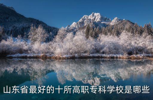 山東省最好的十所高職?？茖W(xué)校是哪些
