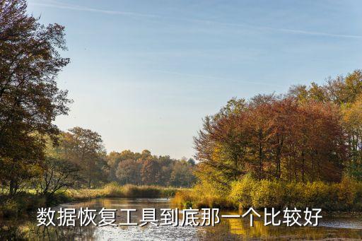 數(shù)據(jù)恢復(fù)工具到底那一個比較好