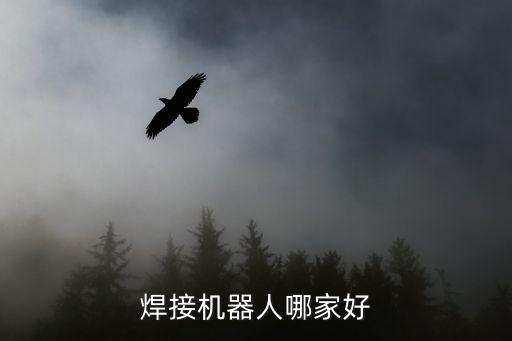 佳順達(dá)自動(dòng)化機(jī)械有限公司,溫州順達(dá)服裝機(jī)械有限公司