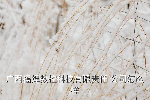 廣西福焊數控科技有限責任 公司怎么樣