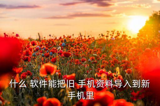 什么 軟件能把舊 手機(jī)資料導(dǎo)入到新 手機(jī)里