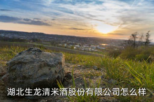自動化米酒釀造設(shè)備,現(xiàn)代化釀酒設(shè)備遠超古法技術(shù)