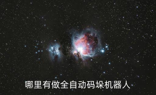 哪里有做全自動碼垛機器人