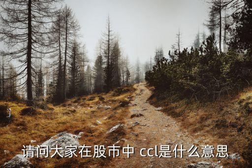 請問大家在股市中 ccl是什么意思