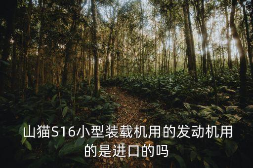  山貓S16小型裝載機用的發(fā)動機用的是進口的嗎