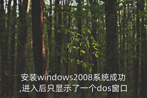 08數(shù)據(jù)庫數(shù)據(jù)中心版,數(shù)據(jù)庫如何安裝?