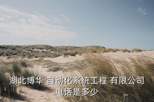 武漢釔太自動(dòng)化有限公司,武漢先惠自動(dòng)化有限公司怎么樣