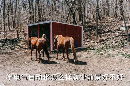 電氣自動(dòng)化中專吃香嗎,電氣自動(dòng)化技術(shù)專業(yè)現(xiàn)在吃香嗎?