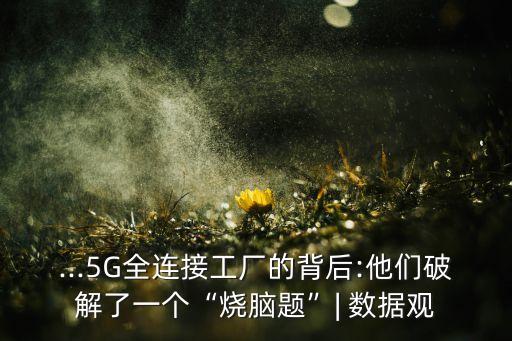 ...5G全連接工廠的背后:他們破解了一個“燒腦題”| 數(shù)據(jù)觀