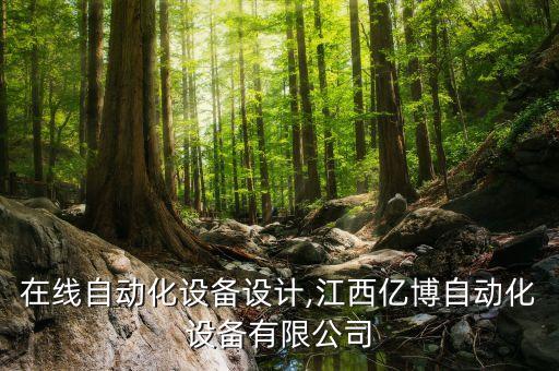 江西在線(xiàn)自動(dòng)化設(shè)備設(shè)計(jì),江西億博自動(dòng)化設(shè)備有限公司