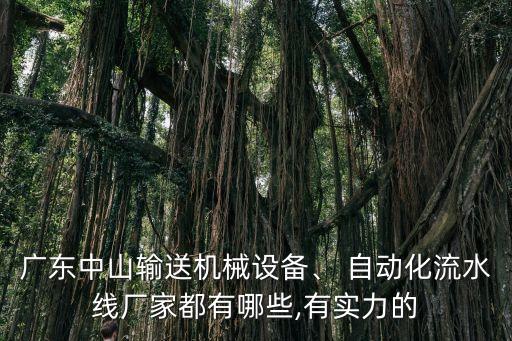 廣東中山輸送機(jī)械設(shè)備、 自動化流水線廠家都有哪些,有實(shí)力的