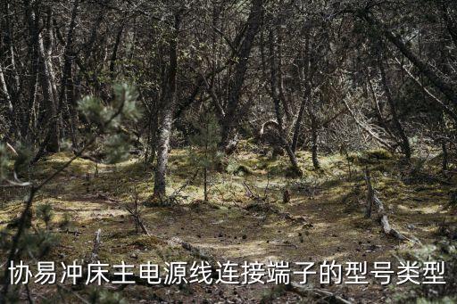 薄料沖床自動化設(shè)備,怎么維修協(xié)易沖床自動送料機(jī)?