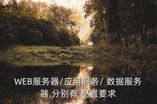 WEB服務(wù)器/應(yīng)用服務(wù)/ 數(shù)據(jù)服務(wù)器,分別有 配置要求