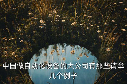 中國(guó)做自動(dòng)化設(shè)備的大公司有那些請(qǐng)舉幾個(gè)例子