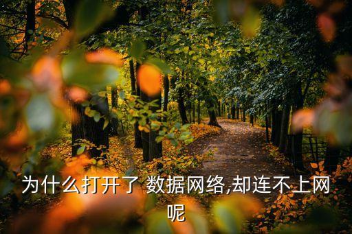 手機(jī)數(shù)據(jù)連接無效,onemodern連接手機(jī)無效