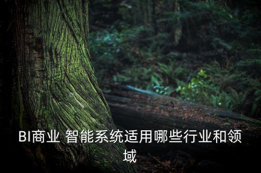 BI商業(yè) 智能系統(tǒng)適用哪些行業(yè)和領(lǐng)域