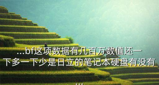 ...bf這項(xiàng)數(shù)據(jù)有幾百萬數(shù)值還一下多一下少是日立的筆記本硬盤有沒有...