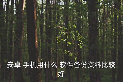 安卓 手機(jī)用什么 軟件備份資料比較好