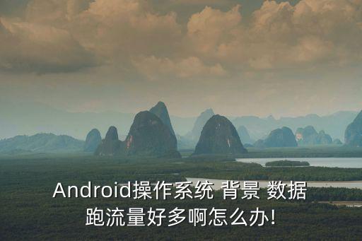 Android操作系統(tǒng) 背景 數(shù)據(jù)跑流量好多啊怎么辦!