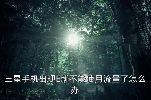 三星手機(jī)出現(xiàn)E就不能使用流量了怎么辦
