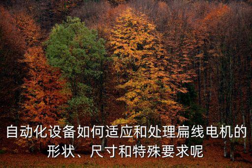 自動(dòng)化設(shè)備如何適應(yīng)和處理扁線電機(jī)的形狀、尺寸和特殊要求呢
