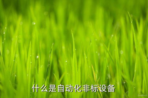 什么是自動(dòng)化非標(biāo)設(shè)備