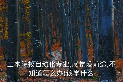二本院校自動化專業(yè),感覺沒前途,不知道怎么辦(該學(xué)什么