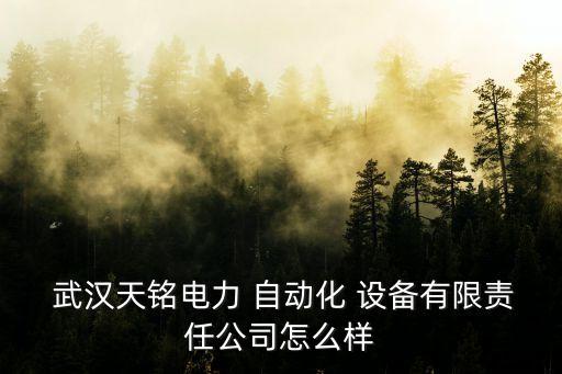 武漢天銘電力 自動化 設(shè)備有限責任公司怎么樣