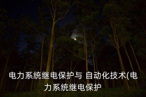 電力系統(tǒng)繼電保護(hù)與 自動(dòng)化技術(shù)(電力系統(tǒng)繼電保護(hù)