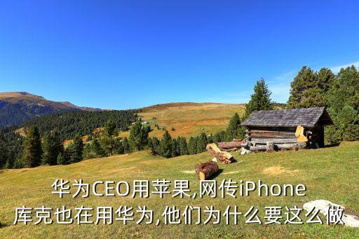 華為CEO用蘋果,網(wǎng)傳iPhone庫克也在用華為,他們?yōu)槭裁匆@么做