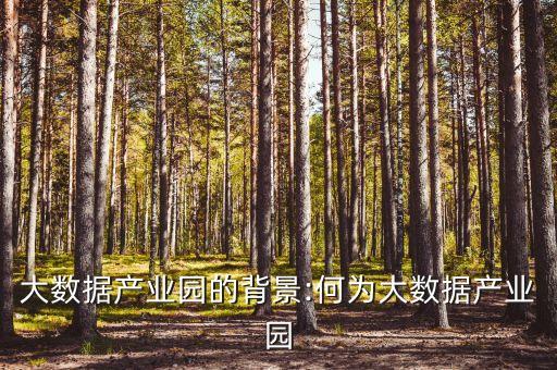 國家大數(shù)據(jù)基地,為什么建在貴州?大數(shù)據(jù)中心是干嘛?