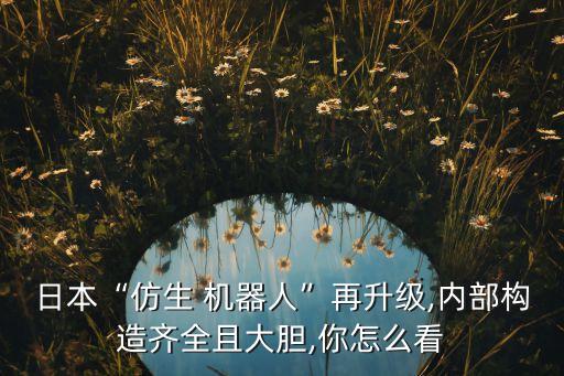 日本“仿生 機(jī)器人”再升級(jí),內(nèi)部構(gòu)造齊全且大膽,你怎么看