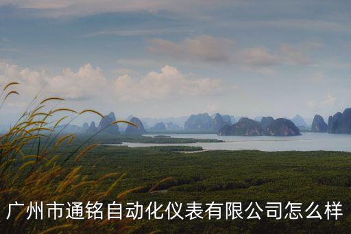 廣州市通銘自動化公司,廣州通銘自動化儀表有限公司怎么樣?