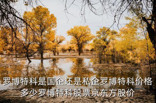 羅博特科是國企還是私企羅博特科價格多少羅博特科股票京東方股價