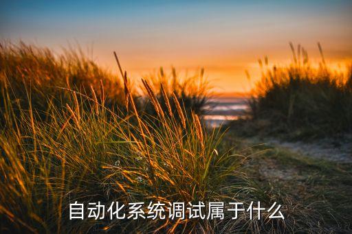 自動化系統(tǒng)調試屬于什么