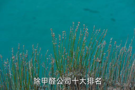 自動(dòng)化檢測(cè)甲醛治理公司,除甲醛公司的服務(wù)有哪些?